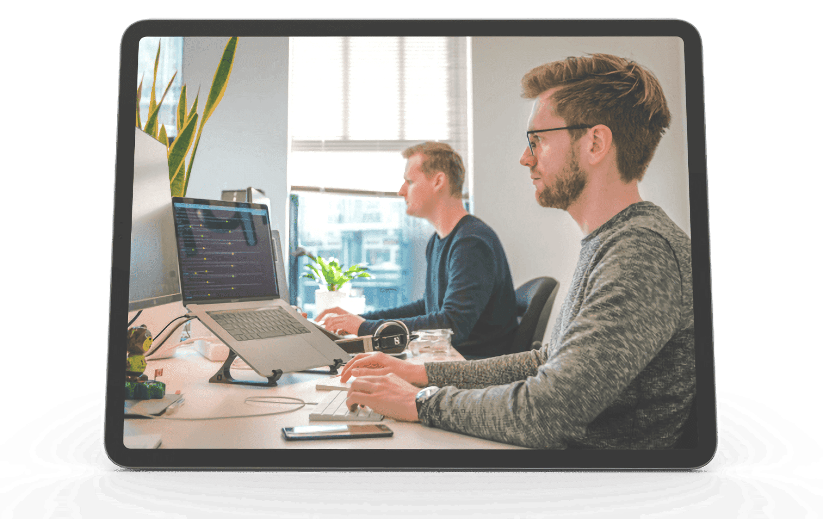 datahouse case study – a custom Software development project built by altar